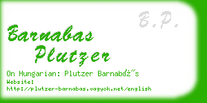 barnabas plutzer business card